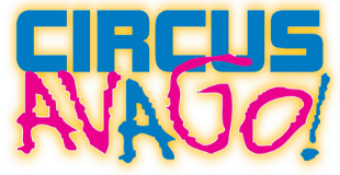 Circus Avago Circus Skills Workshop